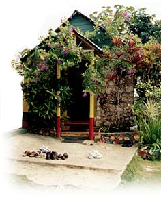 Bob's House